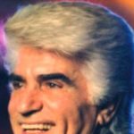 دانلود آهنگ ویگن گیسوی کوتاه (گویی از لطافت آزرده شانه ات در زیر بار گیسو)