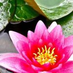 دانلود آهنگ دلکش موج