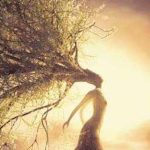 دانلود آهنگ محسن چاوشی بید بی مجنون