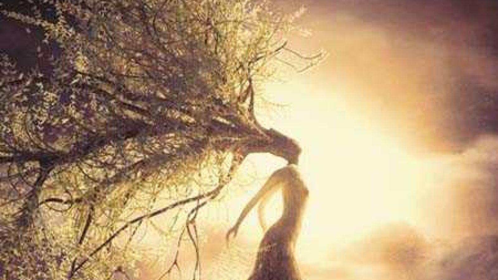 دانلود آهنگ محسن چاوشی بید بی مجنون