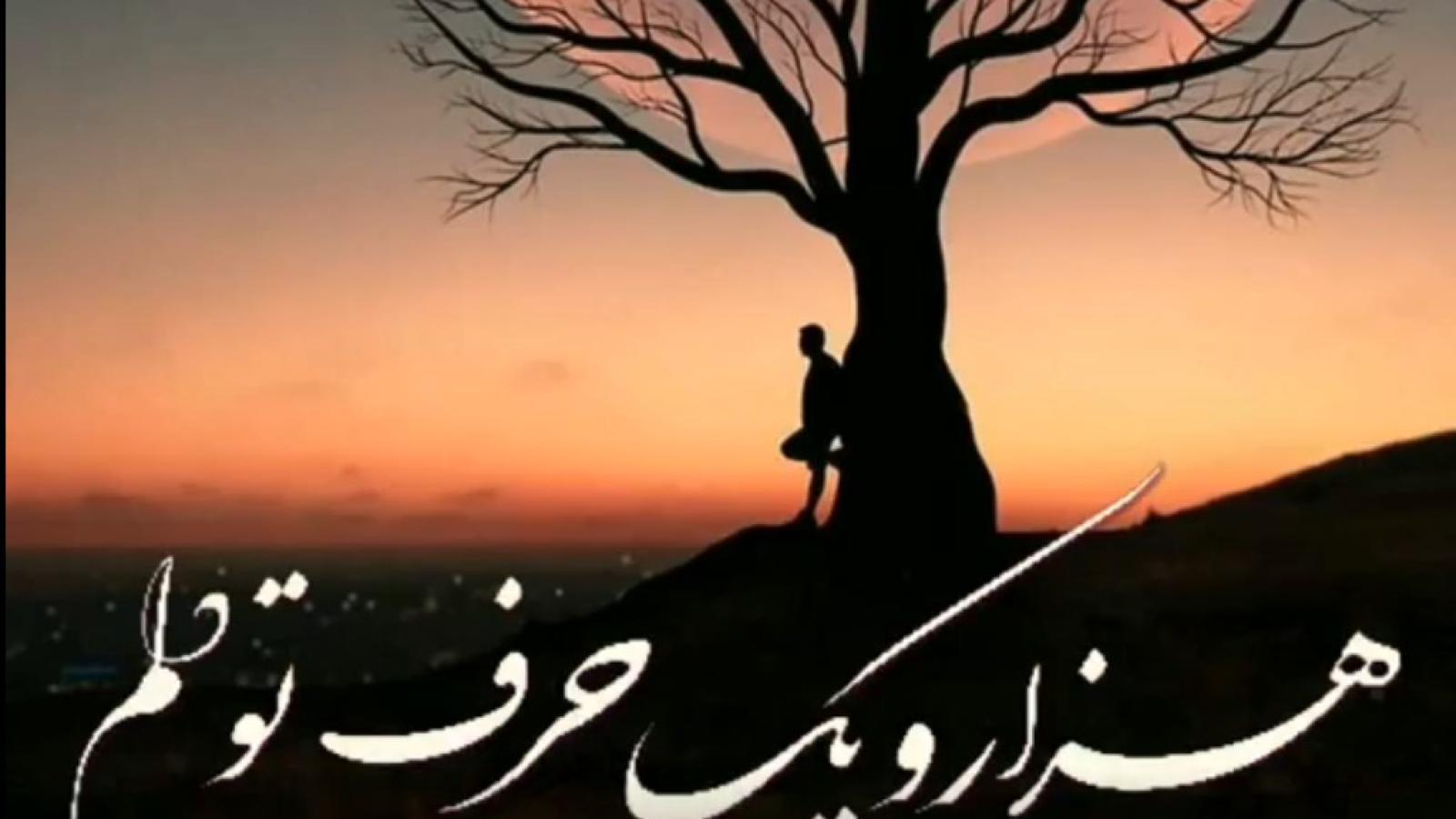 دانلود آهنگ هایده دوستش دارم هنوزم / وقتی که از تو دورم آب واسه من میمیره