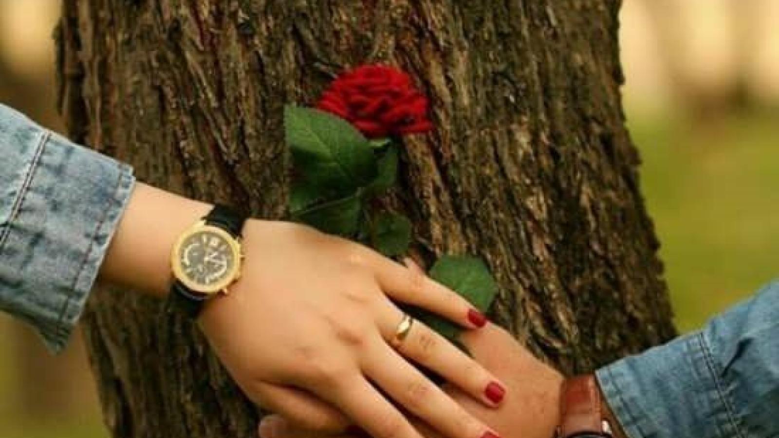 دانلود آهنگ هایده دستای تو / به گمونم دل تو جای دیگه است دله تو پیشه یه رسوای دیگه س