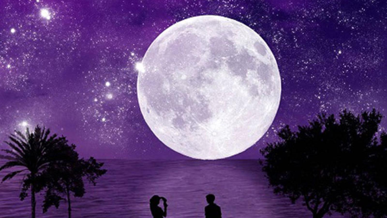 دانلود آهنگ هایده شب عشق / یه امشب شب عشقه همین...