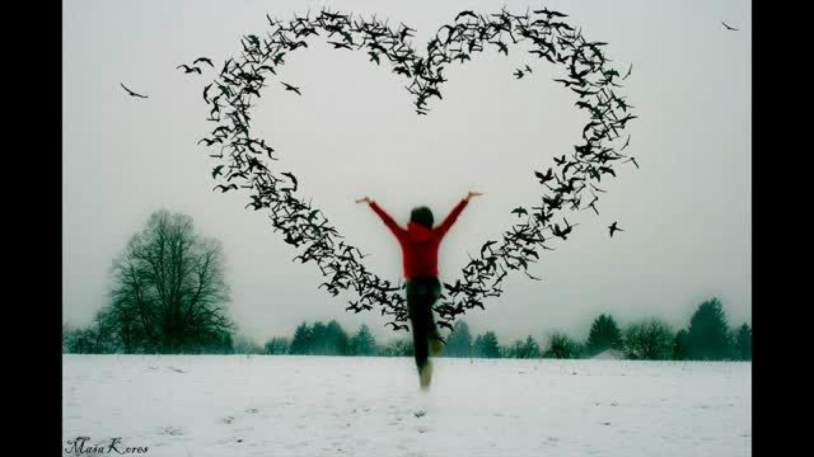 دانلود آهنگ هایده دل دیوونه ای دل ای بی نشونه ای دل ندونستی زمونه نامهربونه ای دل