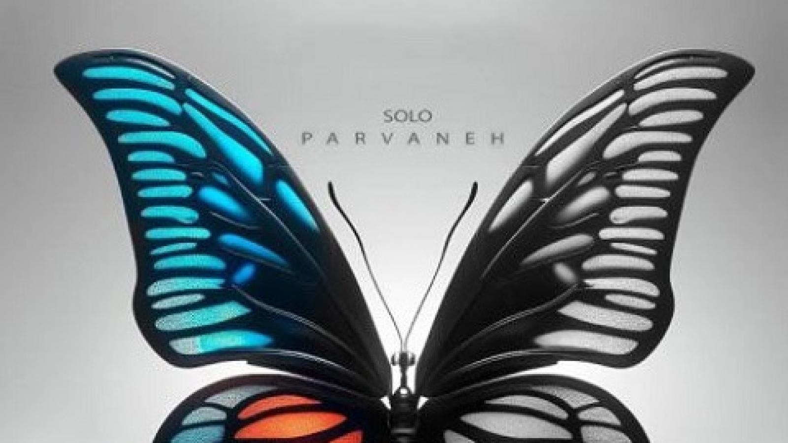 دانلود آهنگ  احمد سلو پروانه / دلم میخواد بخوابم اما خوابم نمیره