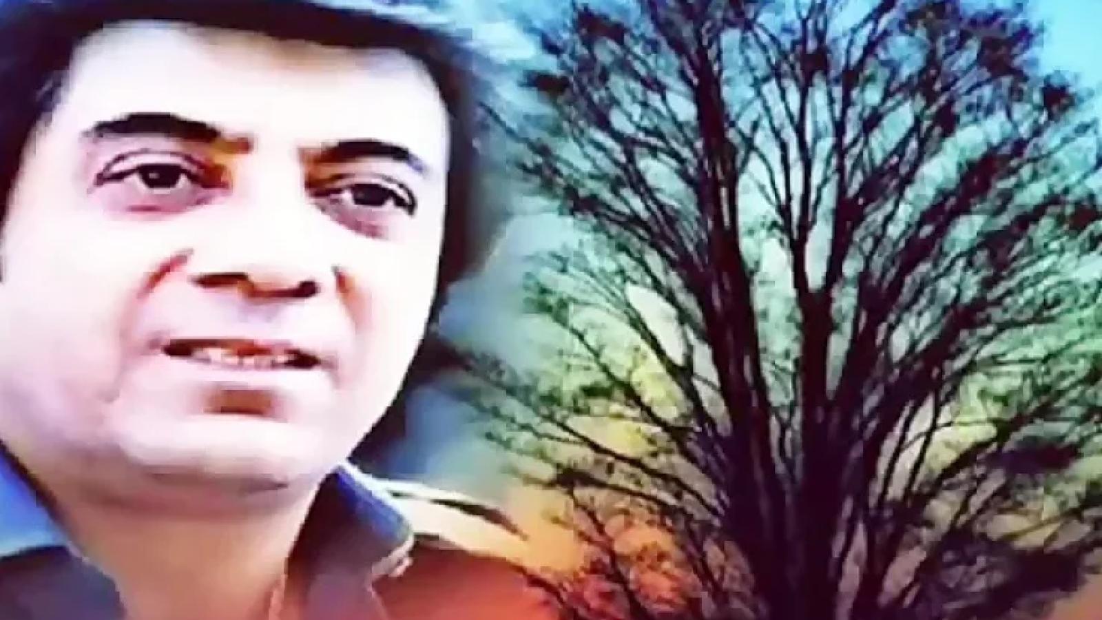 دانلود آهنگ اکبر گلپایگانی ساقی / ای ساقی آرامم کن دیوانه ام رامم کن