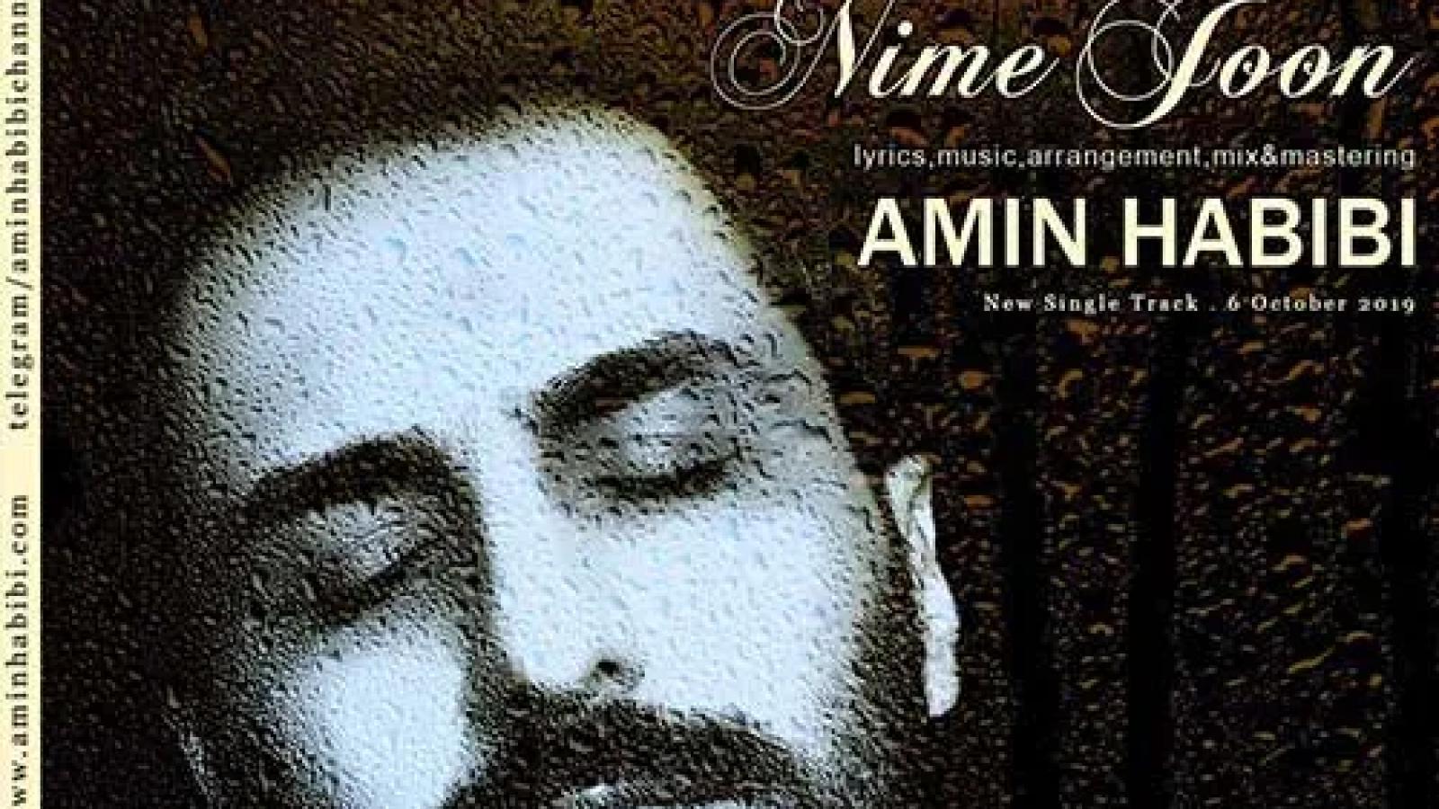 دانلود آهنگ امین حبیبی نیمه جون / تو این سینه که می بینی یه قلب نیمه جون دارم ....