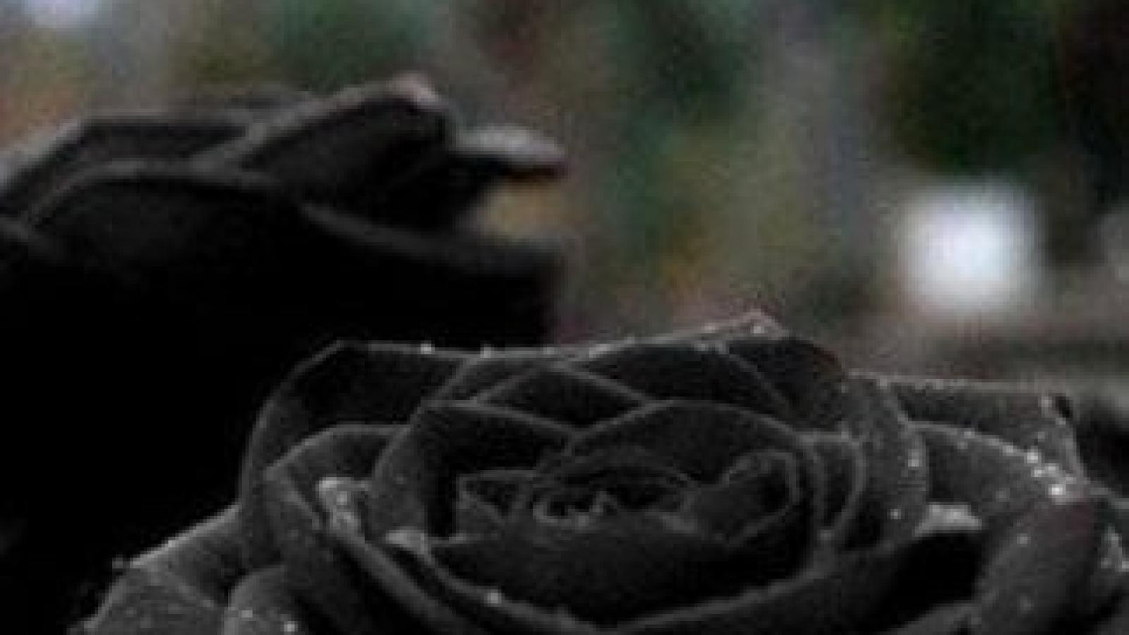 دانلود آهنگ الهه ابره پاره پاره