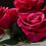 دانلود آهنگ هنگامه خالکوبی / از کی داری تو دور می شی از من که می می رم برات