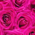 دانلود آهنگ حمیرا باختن / راه عاشقی راه سوختن بیراهه نرو کارت باختن