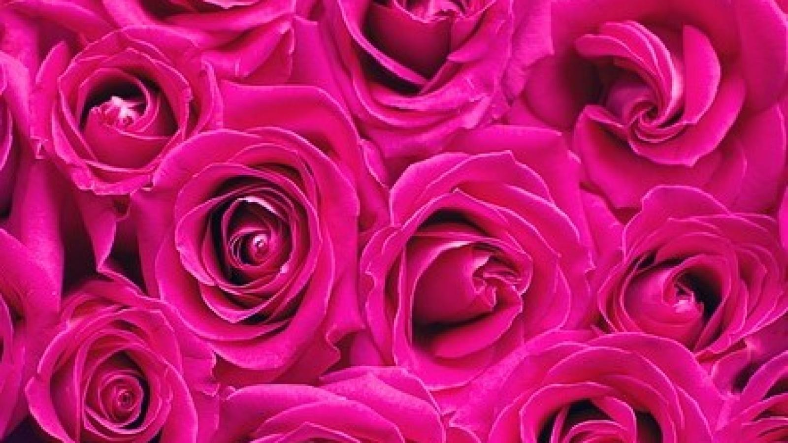 دانلود آهنگ حمیرا باختن / راه عاشقی راه سوختن بیراهه نرو کارت باختن