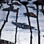 دانلود آهنگ کاوه آفاق دفاع {آماده ی دفاع نشستیم وطن هست تا که ما هستیم}