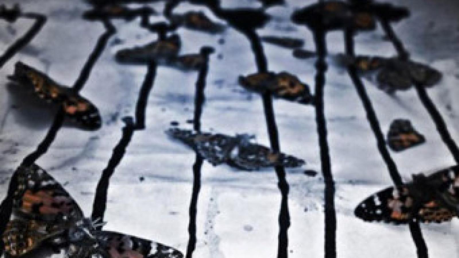 دانلود آهنگ کاوه آفاق دفاع {آماده ی دفاع نشستیم وطن هست تا که ما هستیم}