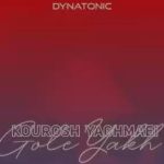 دانلود ریمیکس آهنگ کوروش یغمایی گل یخ