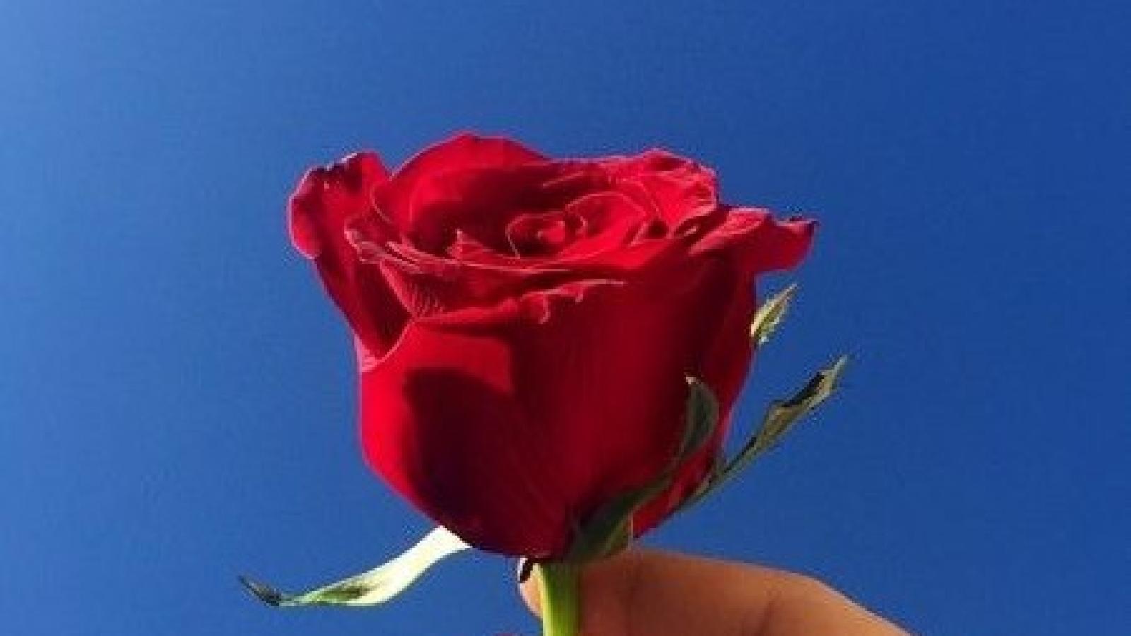 دانلود آهنگ مهستی دارم میام تو قلبت ( هوش مصنوعی )