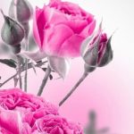 دانلود اهنگ مهستی وای که از این دل کی خبر داره ( هوش مصنوعی )