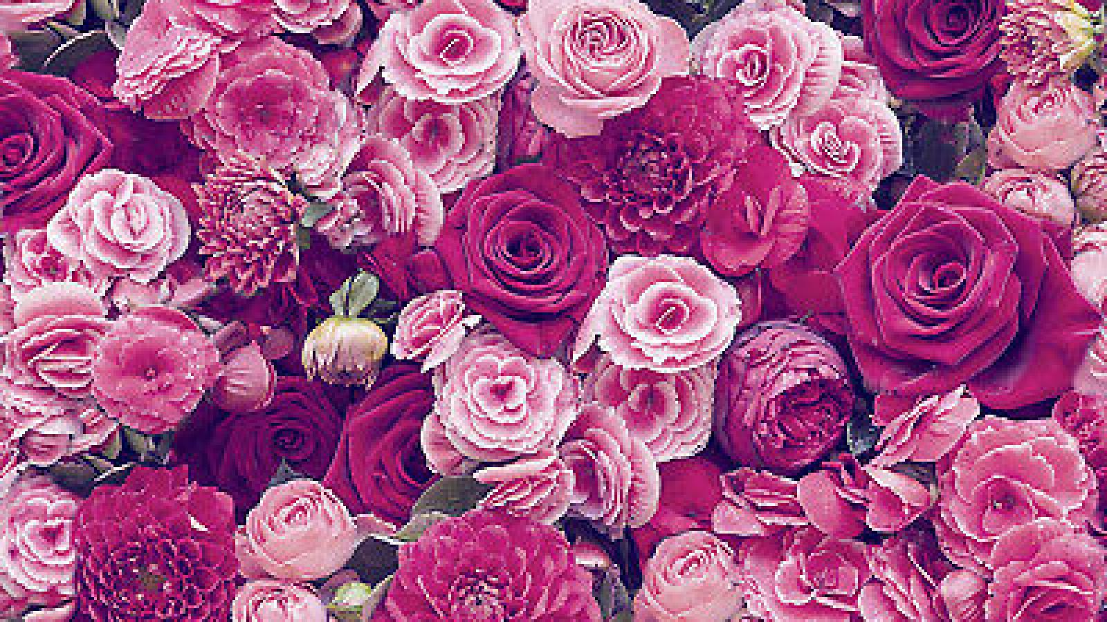 دانلود آهنگ مرجان جفت سلیمان / بگو ای مرد به خانه برکت ده به تن قافله شوق حرکت ده