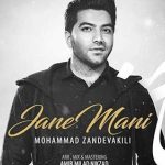 دانلود آهنگ محمد زندوکیلی جان منی {تو که جان منی من از عطر تو یکسره سر مستم}