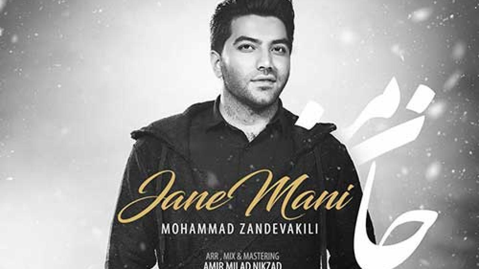 دانلود آهنگ محمد زندوکیلی جان منی {تو که جان منی من از عطر تو یکسره سر مستم}