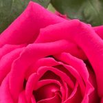 دانلود آهنگ نیکیتا به به