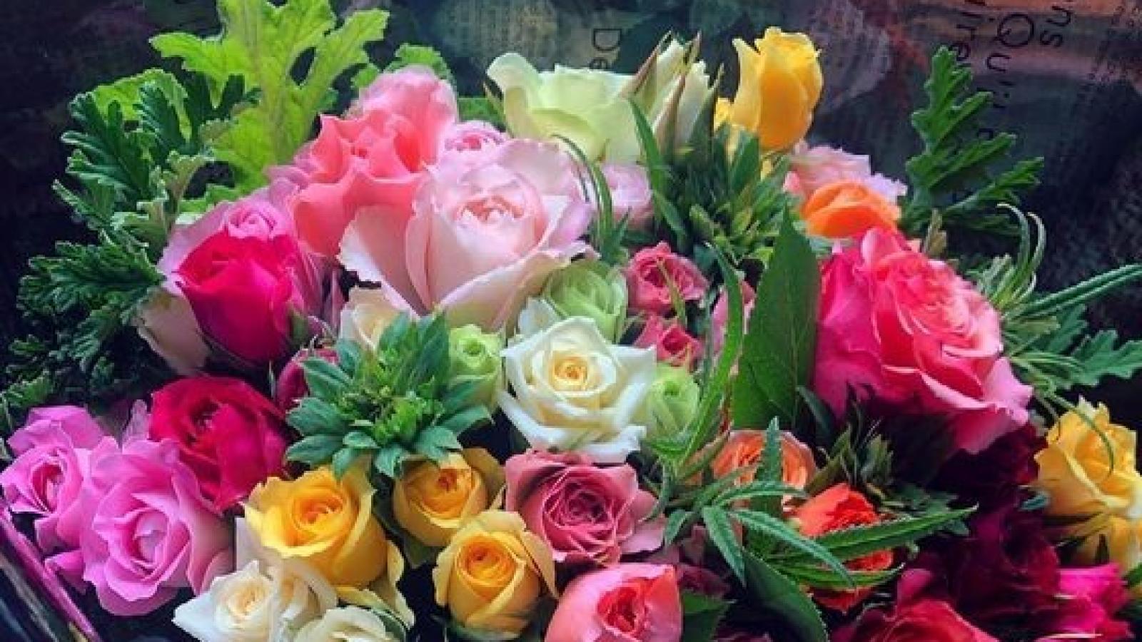 دانلود آهنگ نوش آفرین مرا دریاب مرا ای نازنین دریاب