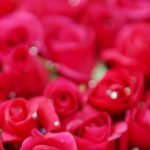 دانلود آهنگ نوش آفرین نازنین عاشق به دیدارم بیا که لاله لاله گلنارو به گلزار می‌برم