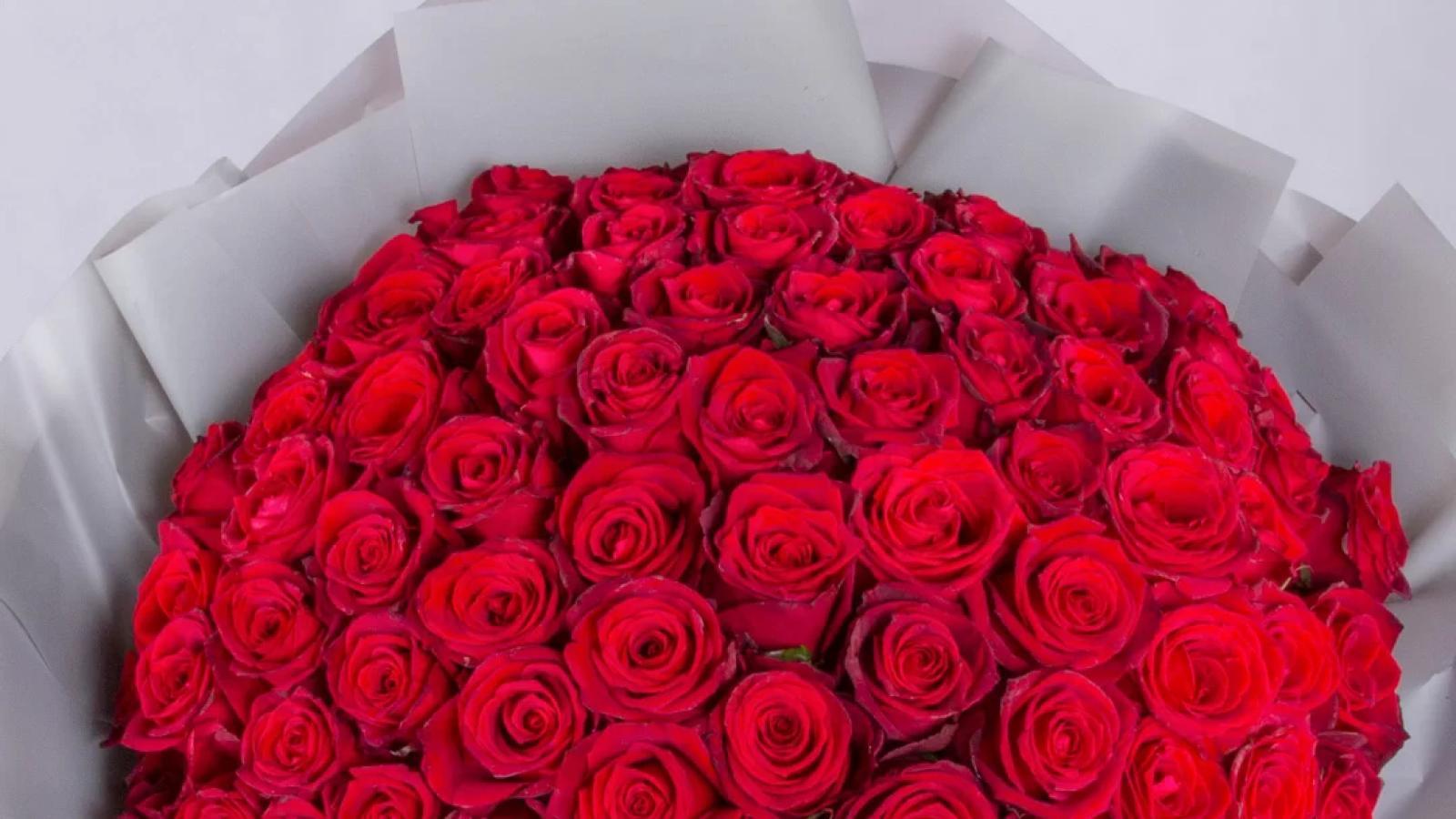 دانلود آهنگ پوران گلی جون / یاد از آن شب ها با آن شب که تنها آشفته حال و رسوا در ساحل دریا