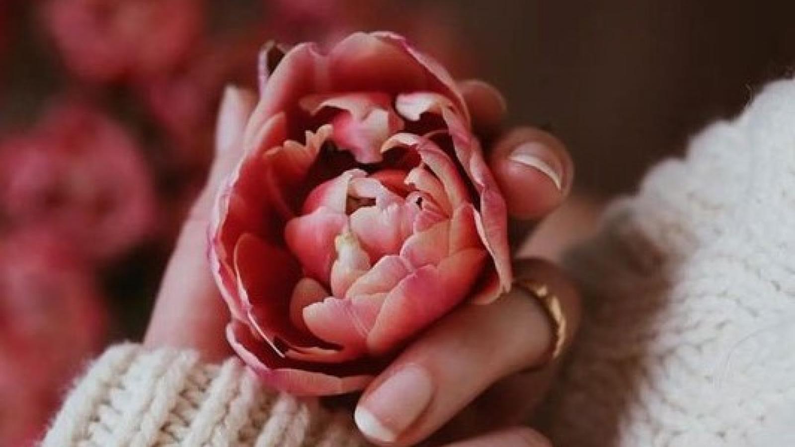 دانلود آهنگ ستین چه میشد / اگر مثل من ساده بودی چه می شد