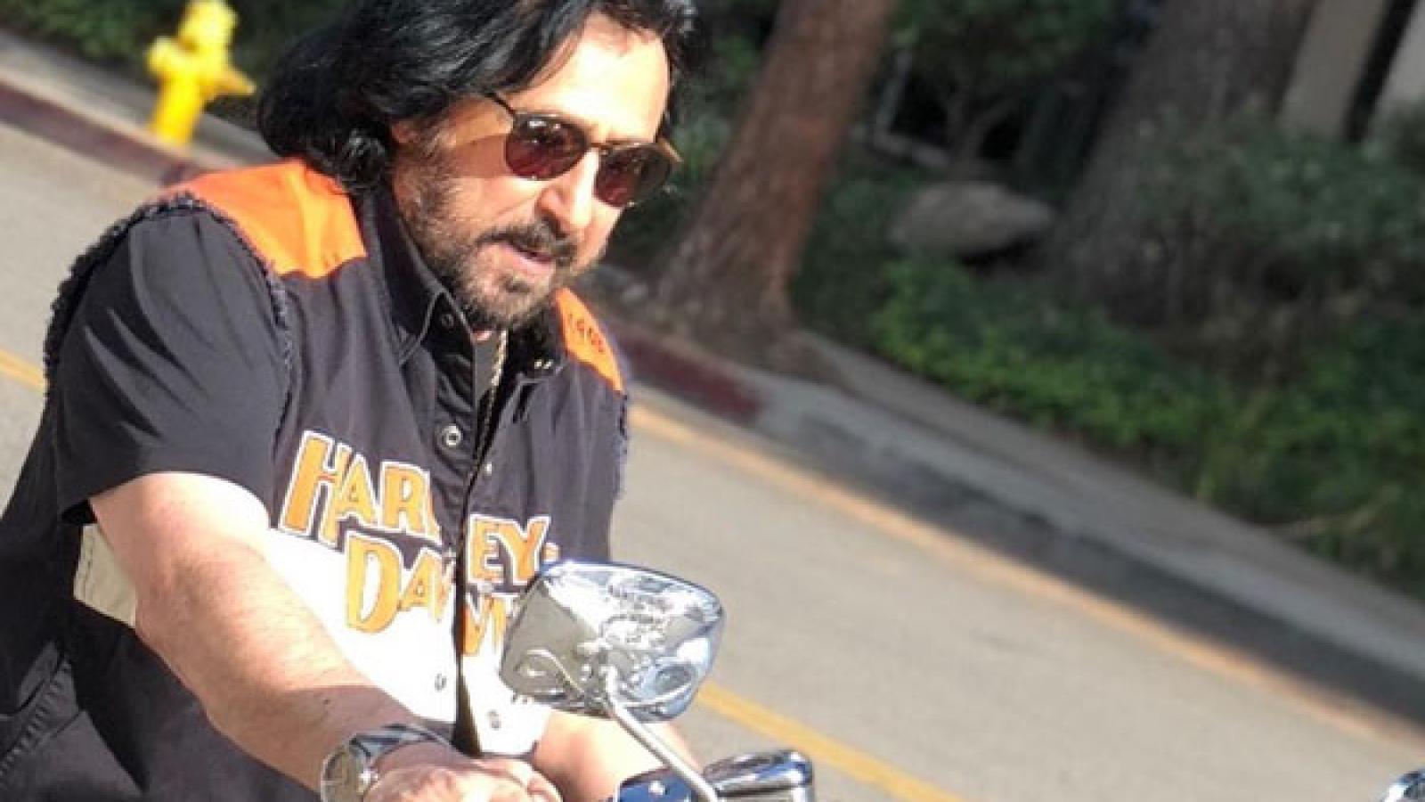 دانلود آهنگ شهرام شب پره چیلی پوم {آ چیلی پوم آپوم آپومآ چیلی پوم آپوم آپوم}