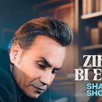 دانلود آهنگ شهرام شکوهی زیبای بی احساس دلم خیلی تنهاست نگو فردا میای همین الان فرداست