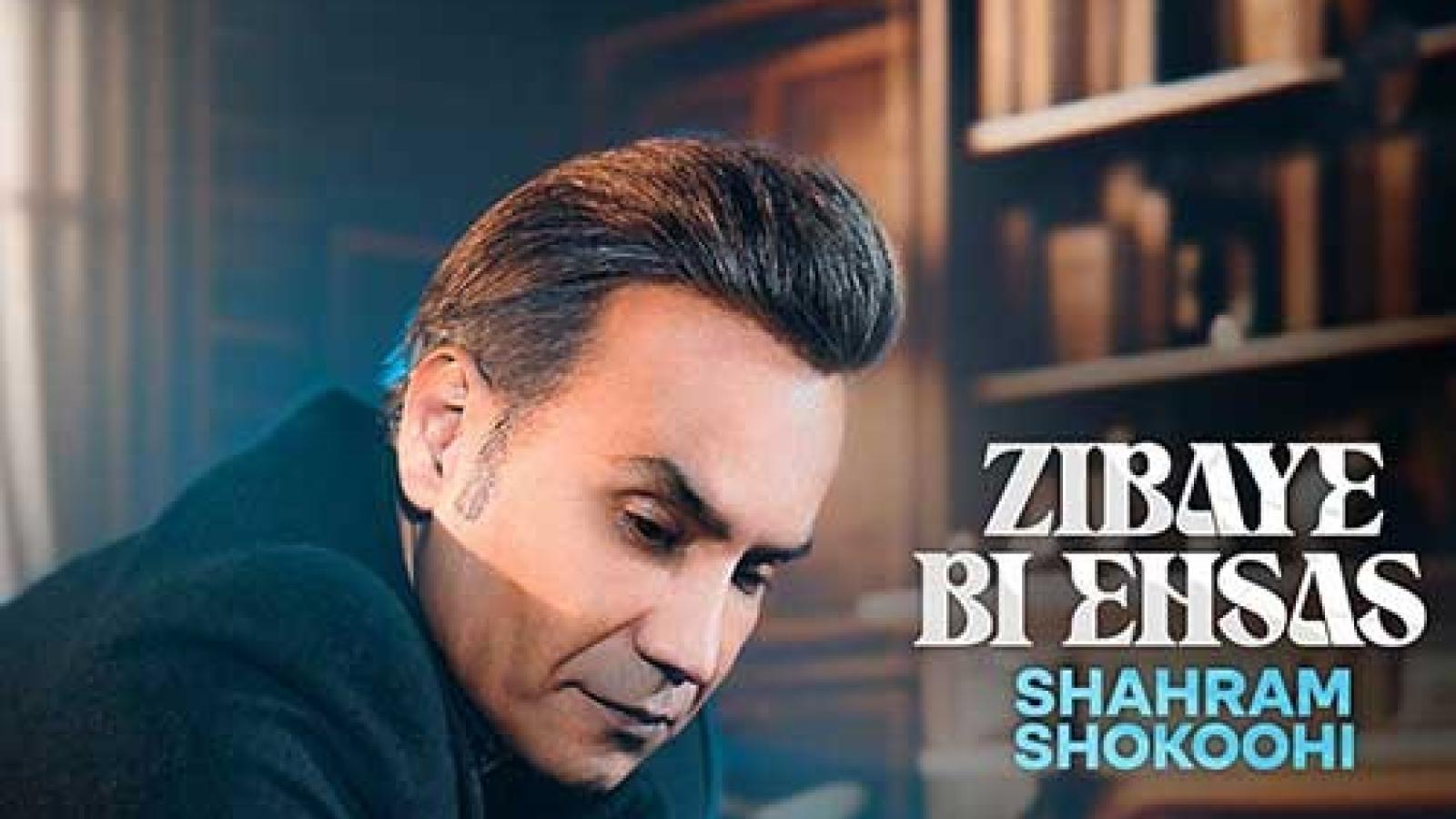 دانلود آهنگ شهرام شکوهی زیبای بی احساس دلم خیلی تنهاست نگو فردا میای همین الان فرداست