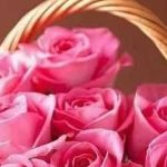 دانلود آهنگ شکیلا بهار دلکش رسید و دل به جا نباشد