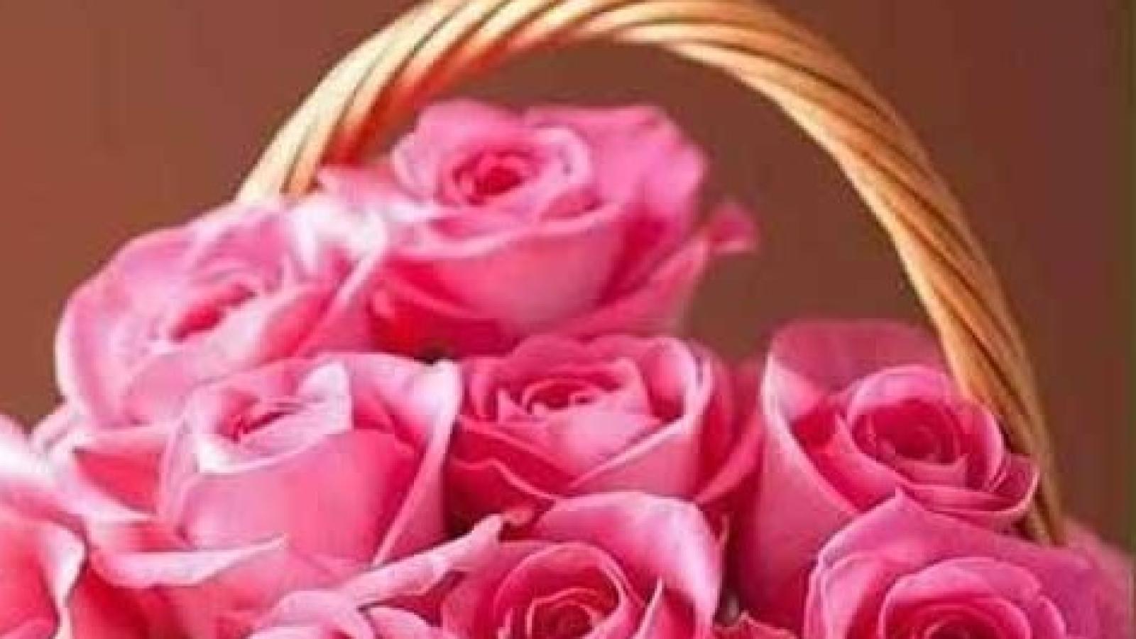 دانلود آهنگ شکیلا بهار دلکش رسید و دل به جا نباشد