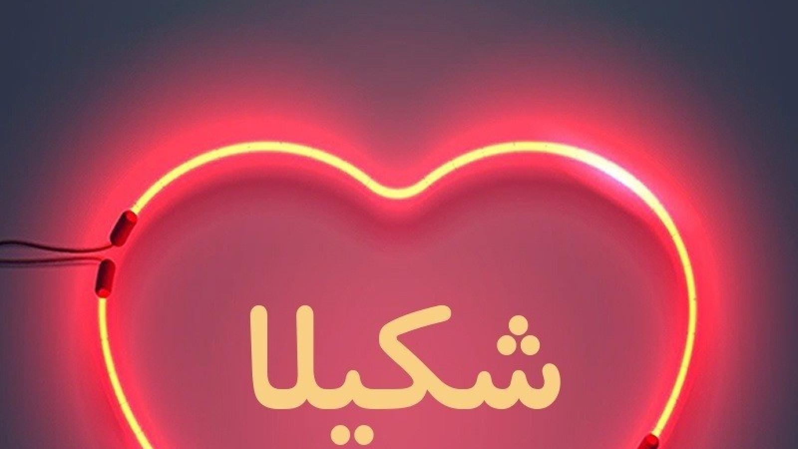 دانلود آهنگ شکیلا دل مجنون / در دل و جان خانه کردی عاقبت هردو را ویرانه کردی عاقبت