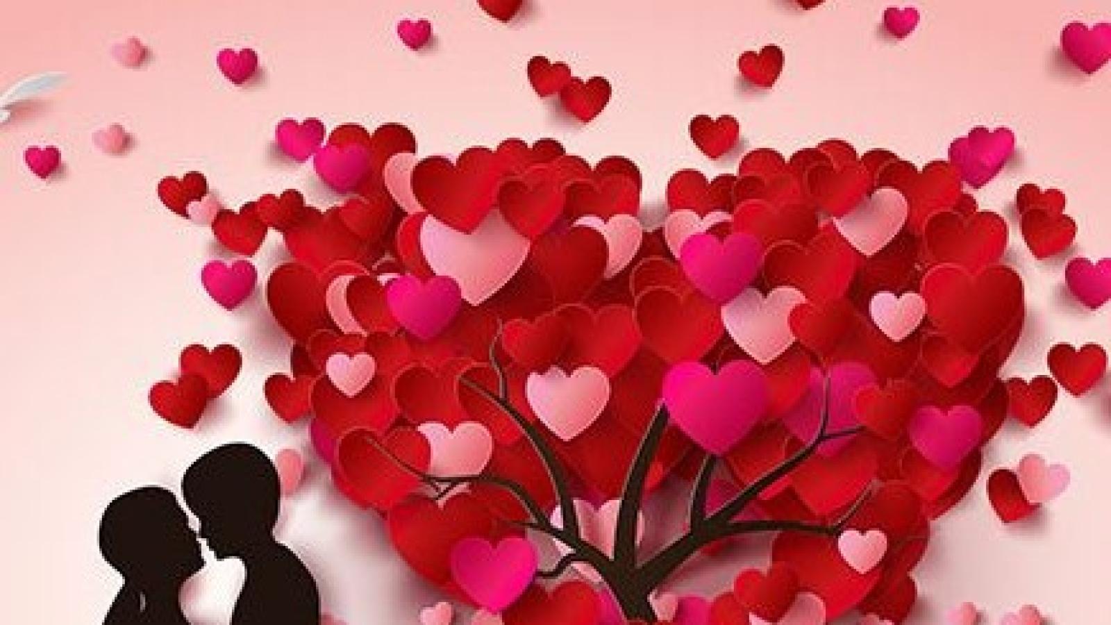 دانلود آهنگ سوزان روشن دلبری / بیایک شب توای ماه کمونم بیا، بیاباهم بشیم مهربونم بیا