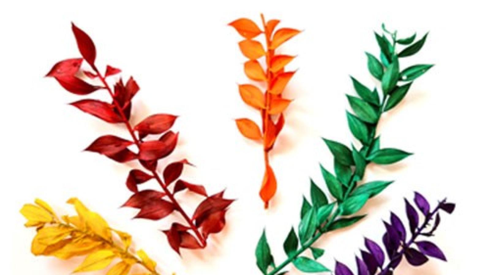 دانلود آهنگ دلکش گل خشک / من و تنهایی و خاموشی من این کنج فراموشی