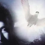 دانلود آهنگ فرزین اشک / وقتی که قطره های اشکای من میان پایین از روی پلکای من