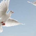 دانلود آهنگ مهستی پیمانه / دلم میخواد بازم بیای به این خونه سر بزنی