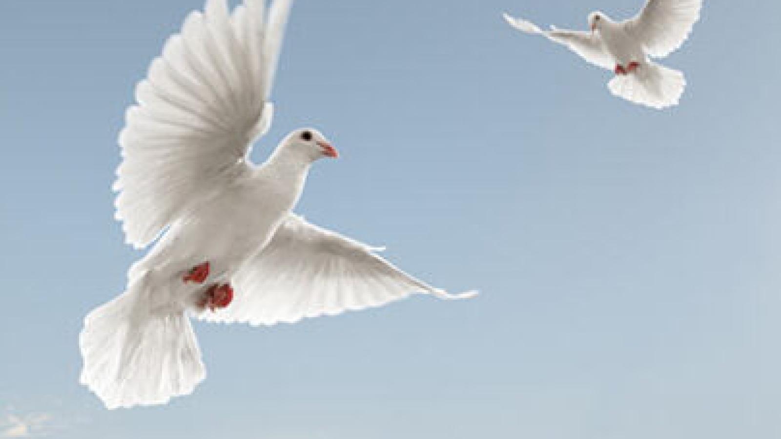 دانلود آهنگ مهستی پیمانه / دلم میخواد بازم بیای به این خونه سر بزنی