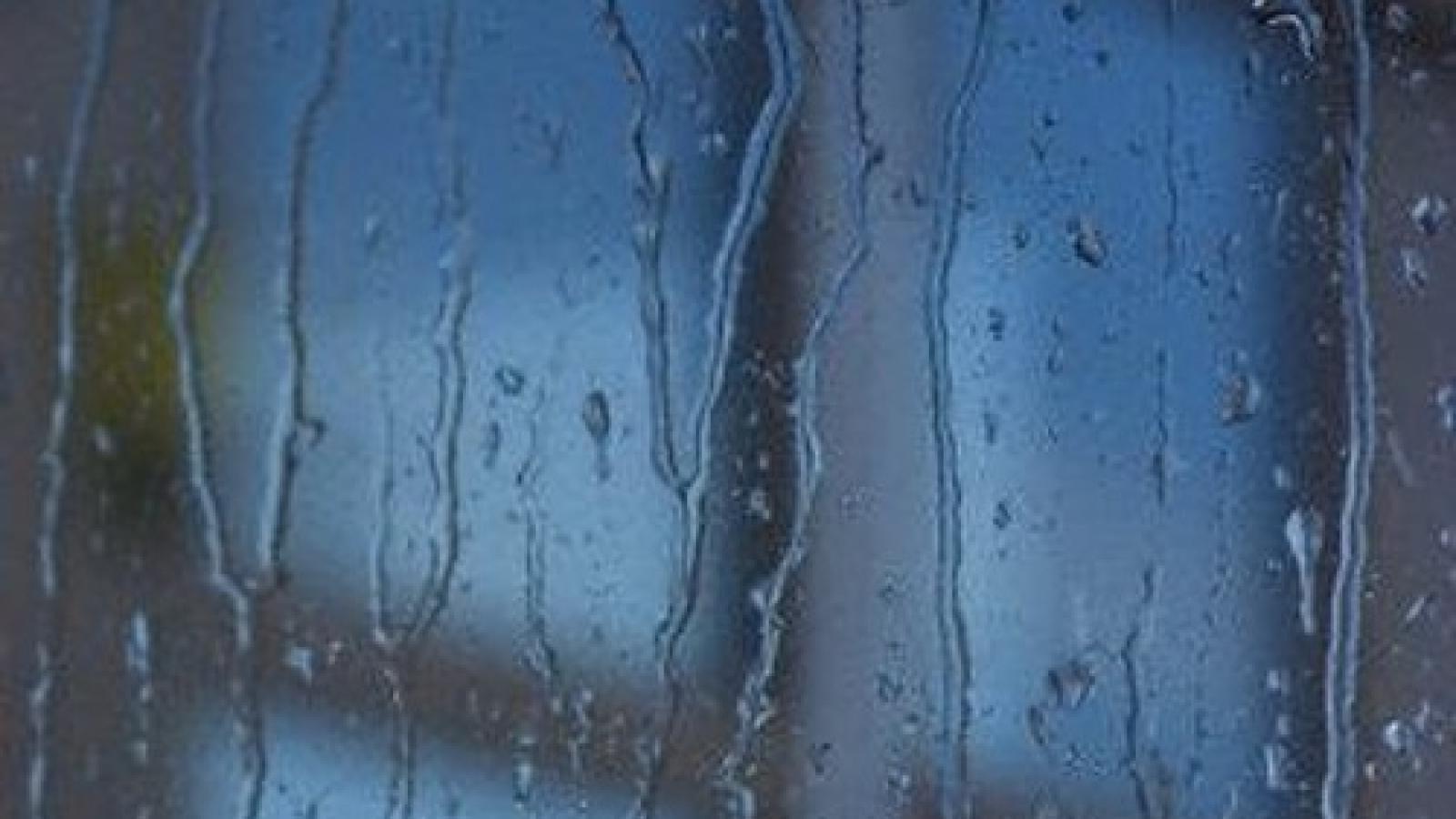 دانلود آهنگ علیرضا عصار زیر باران / چشم ها را باید شست جور دیگر باید دید چترها را باید بست زیر باران باید رفت