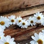 دانلود آهنگ مهستی نزن سنگ / خیال کن که یه آهو یه صحرا رو دویده