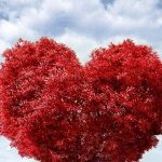 دانلود آهنگ دنیا از عشق بگو / به من از عشق بگو من خودم تا ته دنیارو یه عمر گشتم