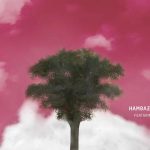 دانلود آهنگ جیدال همبازی به من رازی ، بگو تا بشم راضی بگو بهم نگاهتو ، قراره کِی ببازی