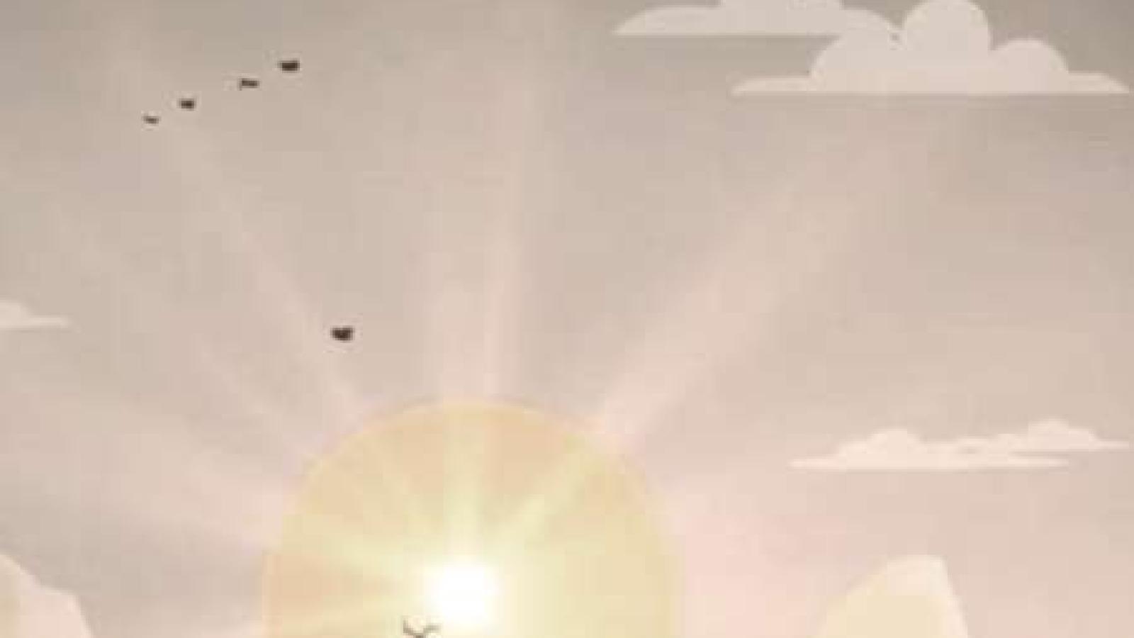 دانلود آهنگ حبیب مرگ قو / شنیدم که چون قوی زیبا بمیرد؛ فریبنده زاد و فریبا بمیرد