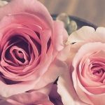 دانلود آهنگ هنگامه نگران نباش همیشه. همه ی کارا غلط نیست.