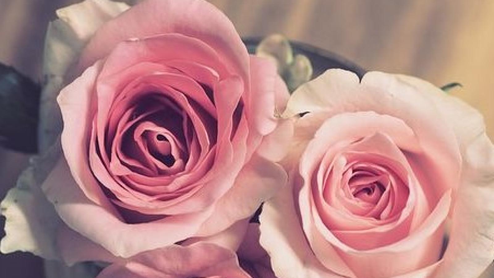 دانلود آهنگ هنگامه نگران نباش همیشه. همه ی کارا غلط نیست.