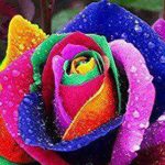 دانلود آهنگ حمیرا مسافر غریب یه راه بی نشونم میخوام برم گم بشم اینجا دیگه نمونم