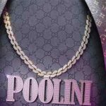 دانلود آهنگ کوروش پولی نی