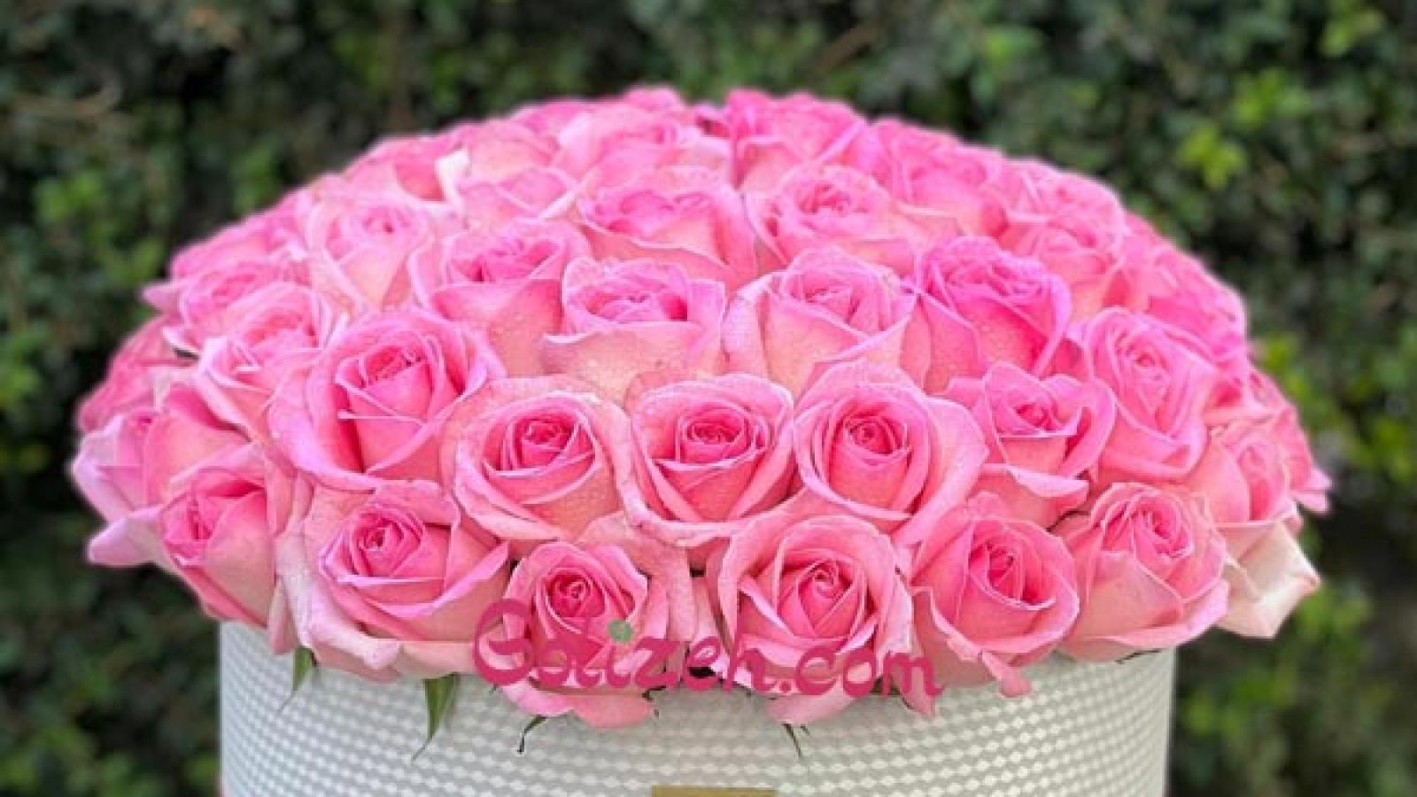 دانلود آهنگ مهستی همصدا (ریمیکس)