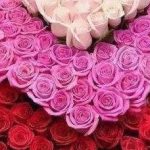 دانلود آهنگ مرضیه آواز دل / از آواز دلم زمزمه ساز دلم من به فغانم